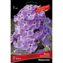 ������ ������ ����� ����������� ��������   ����