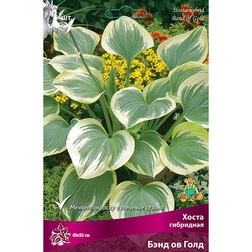 ������ ������ ����� ��������� ���� �� ����   ����