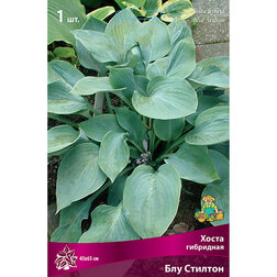 ������ ������ ����� ��������� ��� �������   ����