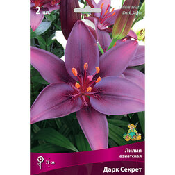 ������ ������ ����� ��������� ���� ������   ����