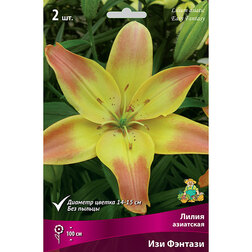 ������ ������ ����� ��������� ��� �������   ����