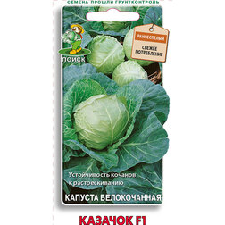 ������ ������ ������� ������������ ������� F1   ����