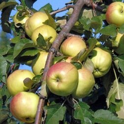 ������ ������ ������ ���������� ������� �����������   ����