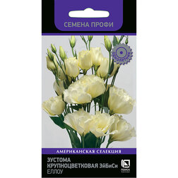 ������ ������ ������� ��������������� ������ ����� (������ �����)   ����