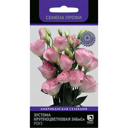 ������ ������ ������� ��������������� ������ ���� (������ �����)   ����