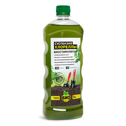 ������ ������ ��������� �������� (1�.) ���-��������   ����