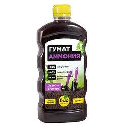 ������ ������ ����� ������� (0,5�) ���-��������   ����