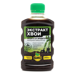 ������ ������ �������� ���� (0,25�.) ���-��������   ����