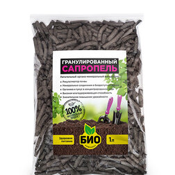 ������ ������ ��������� ��������������� (1�.) ���-��������   ����