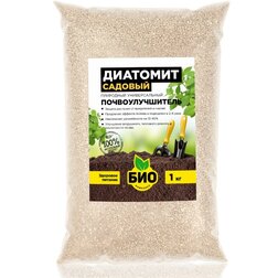 ������ ������ �������� ������� (1�.) ���-��������   ����