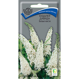 ������ ������ ������� ������ ����� �����   ����