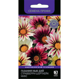 ������ ������ ������� ��� ��� ���������� �������� ���� (������ �����)   ����