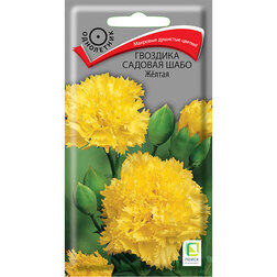 ������ ������ �������� ������� ���� ������   ����