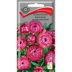 ������ ������ ���������� ����������� ������ ���������   ����