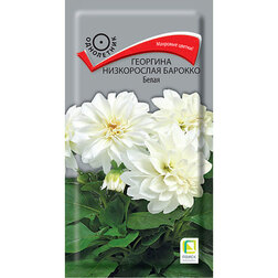 ������ ������ �������� ����������� ������� �����   ����