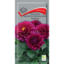 ������ ������ �������� ����������� ������� ����������   ����