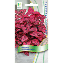 ������ ������ �������� ������� ������   ����