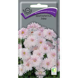 ������ ������ ���������� �����   ����