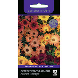 ������ ������ ������������ ������ ������ ������ (������ �����)   ����