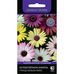 ������ ������ ������������ ������ ����� ������ ���� (������ �����)   ����