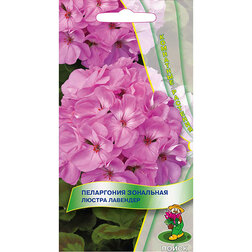 ������ ������ ���������� ��������� ������ ��������   ����