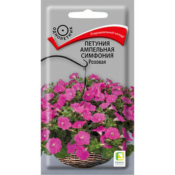 ������ ������ ������� ��������� �������� �������   ����