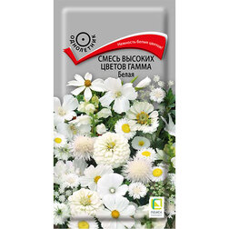 ������ ������ ����� ������� ������ ����� �����   ����