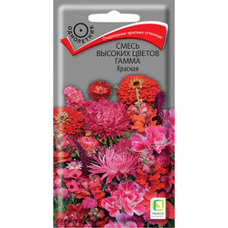 ������ ������ ����� ������� ������ ����� �������   ����