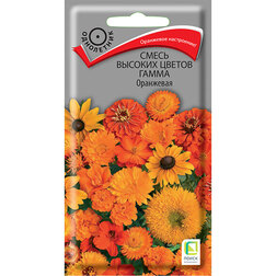 ������ ������ ����� ������� ������ ����� ���������   ����