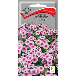 ������ ������ ����� ��������� �����   ����