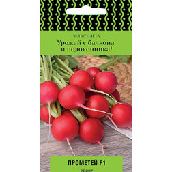 ������ ������ ����� �������� F1 (������ ����)   ����