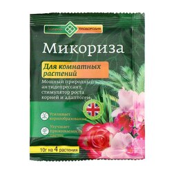 ������ ������ �������� �/��������� 10� ������ ����������   ����