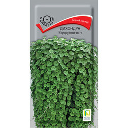 ������ ������ �������� ���������� ����   ����