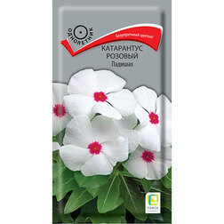 ������ ������ ���������� ������� �������   ����