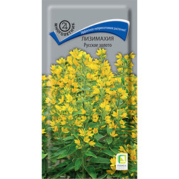 ������ ������ ��������� ������� ������   ����