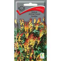 ������ ������ ���� ��������� �������   ����