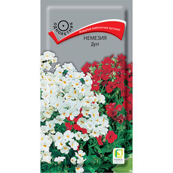 ������ ������ ������� ����   ����