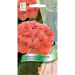 ������ ������ ���������� ��������� ������ ������   ����