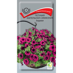 ������ ������ ������� ��������� �������� ��������   ����