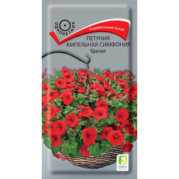 ������ ������ ������� ��������� �������� �������   ����