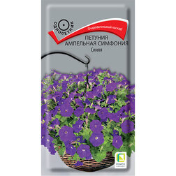 ������ ������ ������� ��������� �������� �����   ����