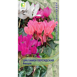 ������ ������ �������� ���������� �����   ����