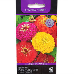 ������ ������ ������ ������� ������ ����� ������� (������ �����)   ����