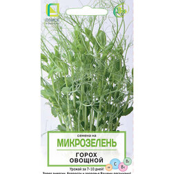 ������ ������ ����� ������� (�����������)   ����