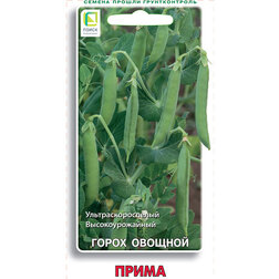 ������ ������ ����� ������� �����   ����