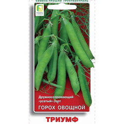 ������ ������ ����� ������� ������   ����