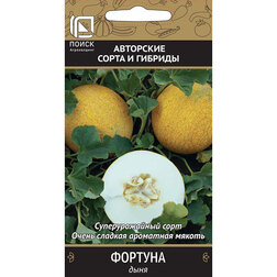 ������ ������ ���� �������   ����