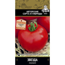 ������ ������ ����� ������   ����