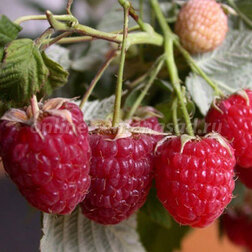 ������ ������ ������� ������ ������������ ������������ ����   ����