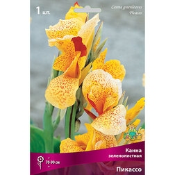 ������ ������ ����� ������������� �������   ����